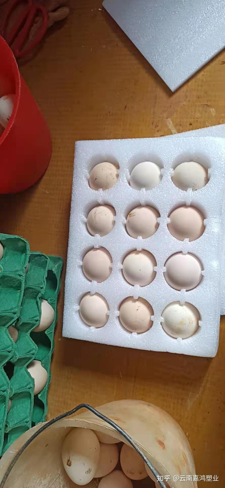 云南珍珠棉包装展示-鸡蛋内衬 - 知乎