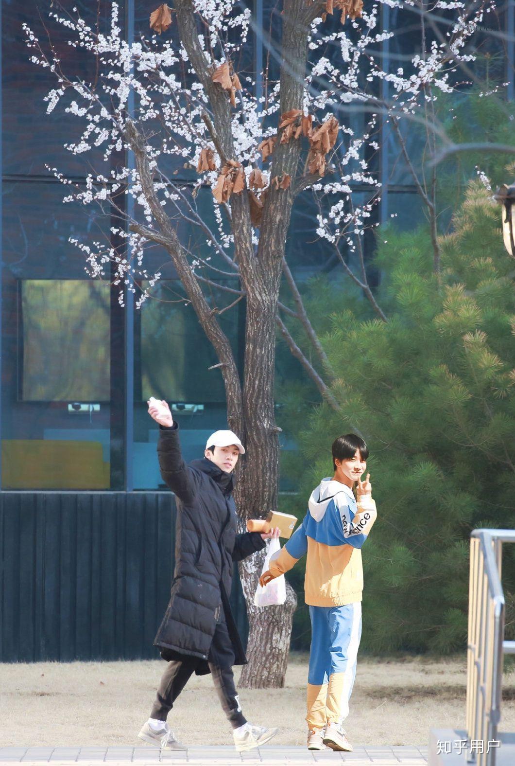 连淮伟和夏瀚宇之间到底发生了什么