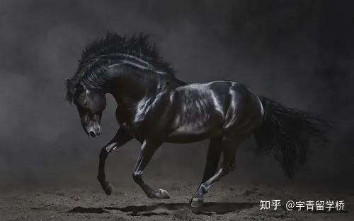 考研出分了,乾坤未定,你我皆是黑马 - 知乎
