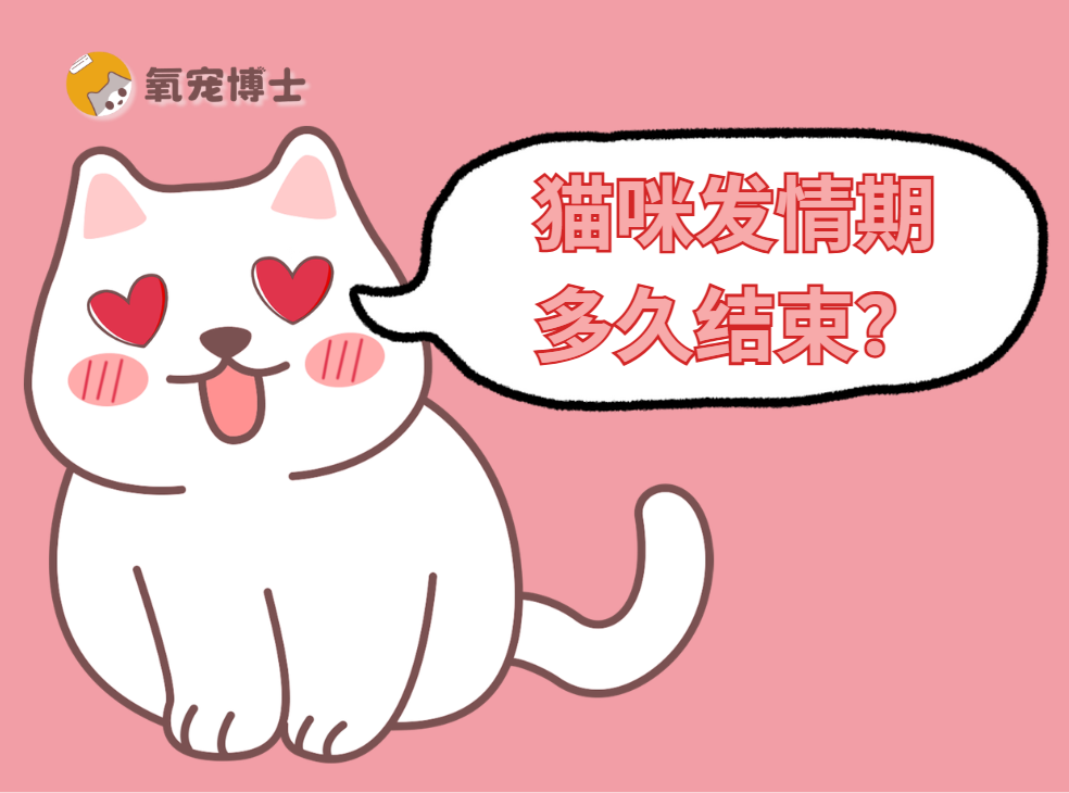 猫咪发情期多久结束?铲屎官必看的完整科普 - 知乎