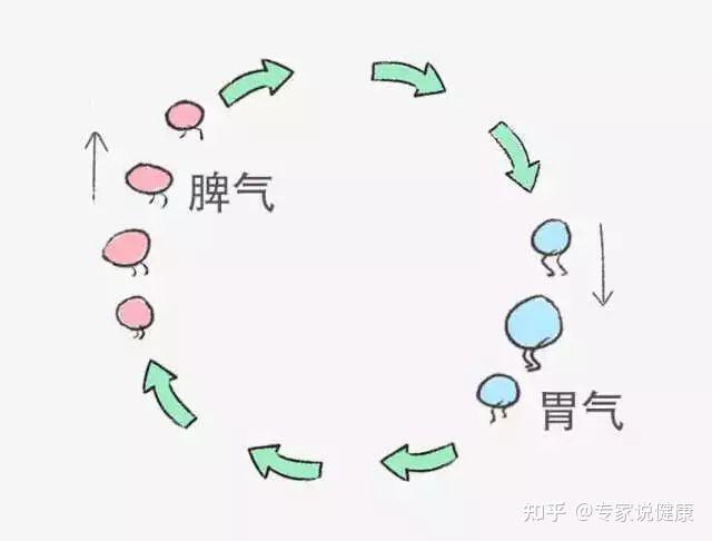 浊气上逆怎么治疗 zhuanlan.zhihu.com