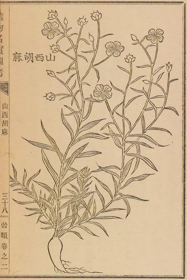 明朝李时珍的一部《本草纲目,更是绘制了植物,动物,矿物等插图1100