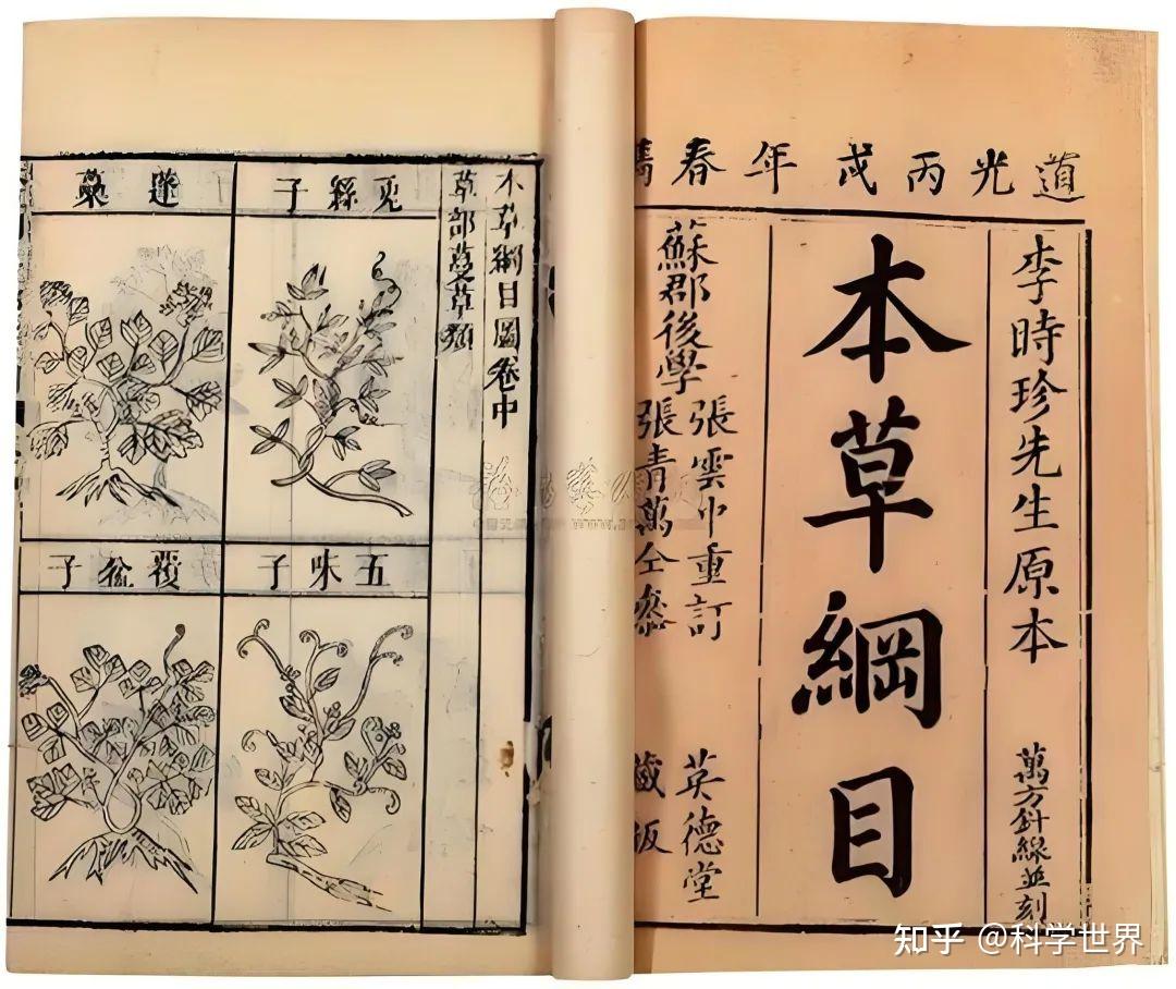 蛊到底是什么?为何人人敬而远之?科学真的无法解释吗? - 知乎