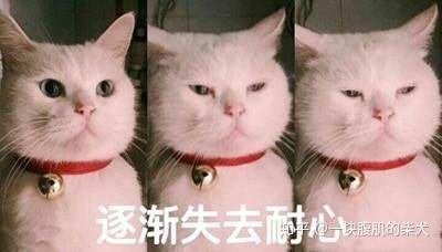 会动的表情包怎么做出来的 v2-e892249abb42bed770b5d8b79a34224a_b.jpg