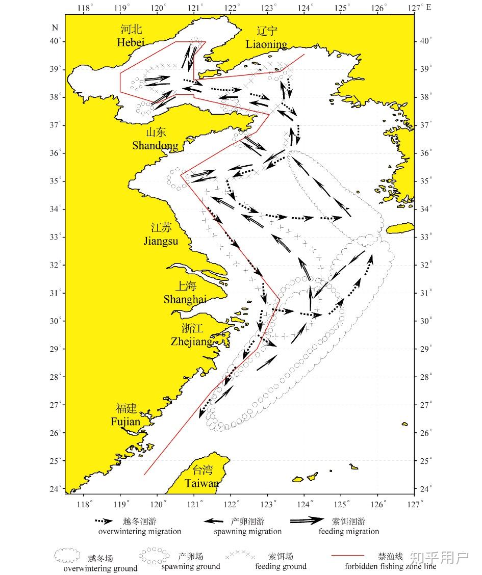 洄游鱼类为什么要洄游从进化学的角度来看这个种群特性是如何形成的