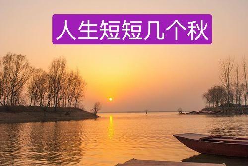 人生短短几个秋