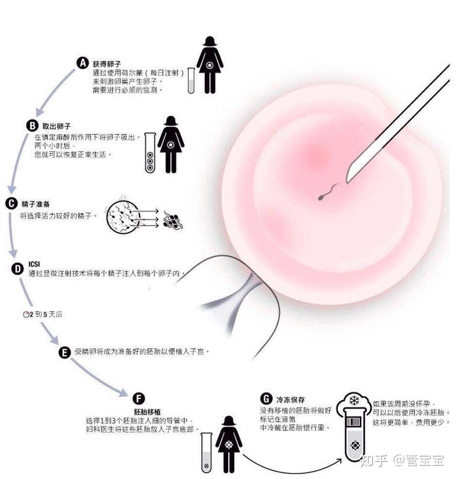 三代试管过程图片