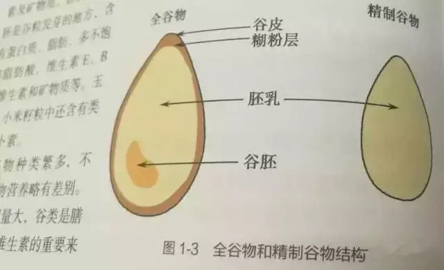 别逗了米饭是垃圾食品2018年度最佳饮食了解一下