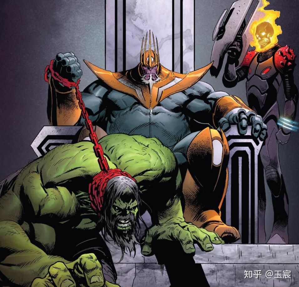 一只叫做楚伊的猫,这只喵的名字据说是来自于《星球大战》中的楚巴卡