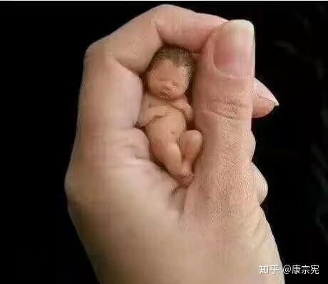 命运三部曲之今世迷情