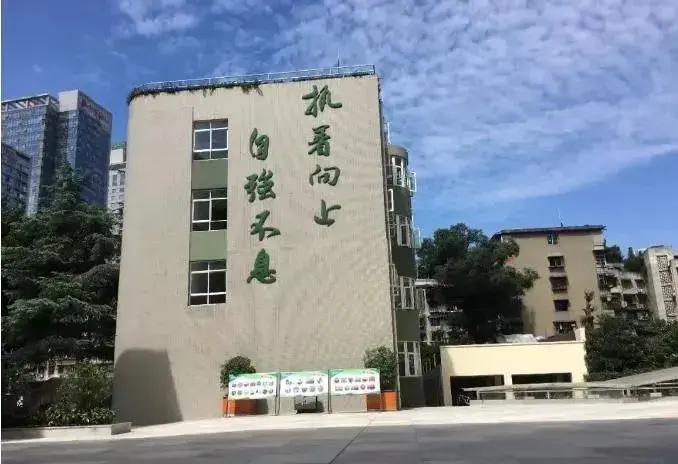 锦江区