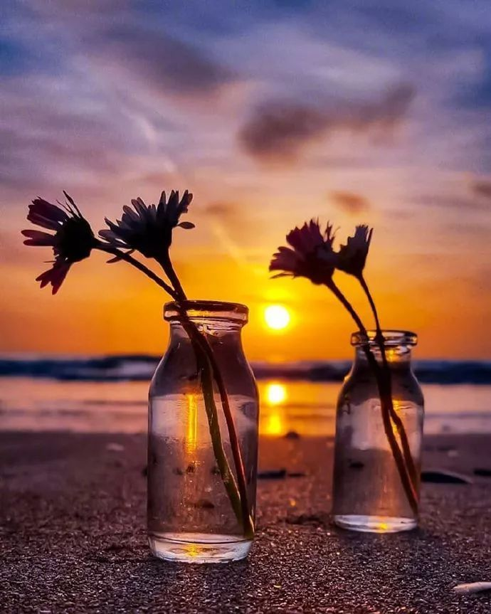 v2-e8cbcf3fe1b51f1e8b4bc4bdf5a3c01d_1440w.jpg?source=172ae18b