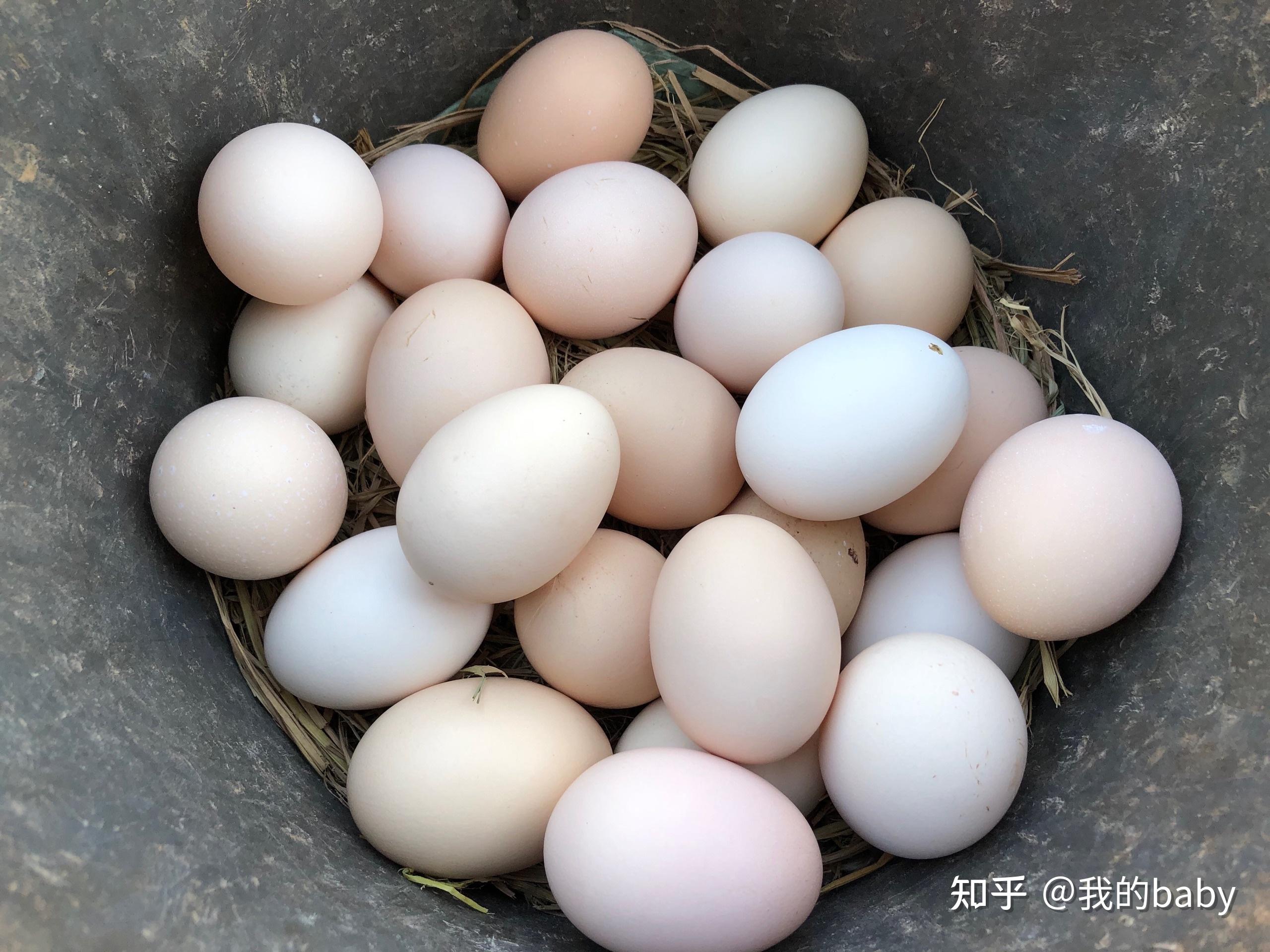 鸡蛋可以快递,鸡的话不知道能否可以寄哦在江西省抚州市无人烟的山里