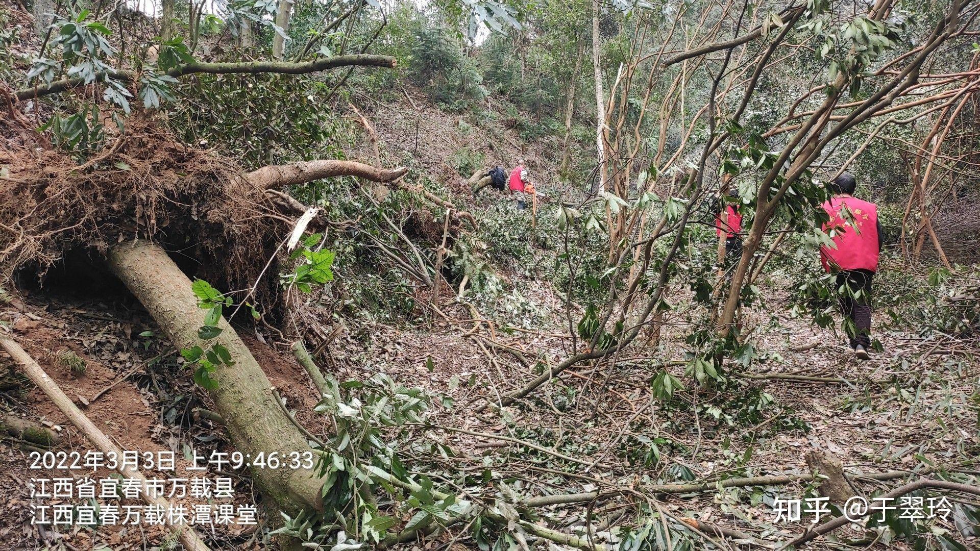 2022年3月3日,東望志願者江西宜春萬載株潭課堂一行5人,應黃茅鎮牧腚