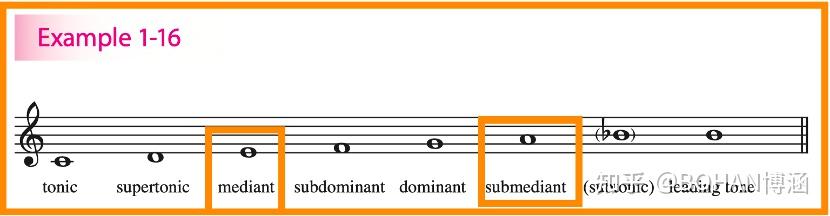 tonalharmony基礎樂理全解學完就創作