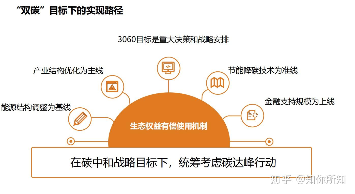 碳排放政策与双碳目标