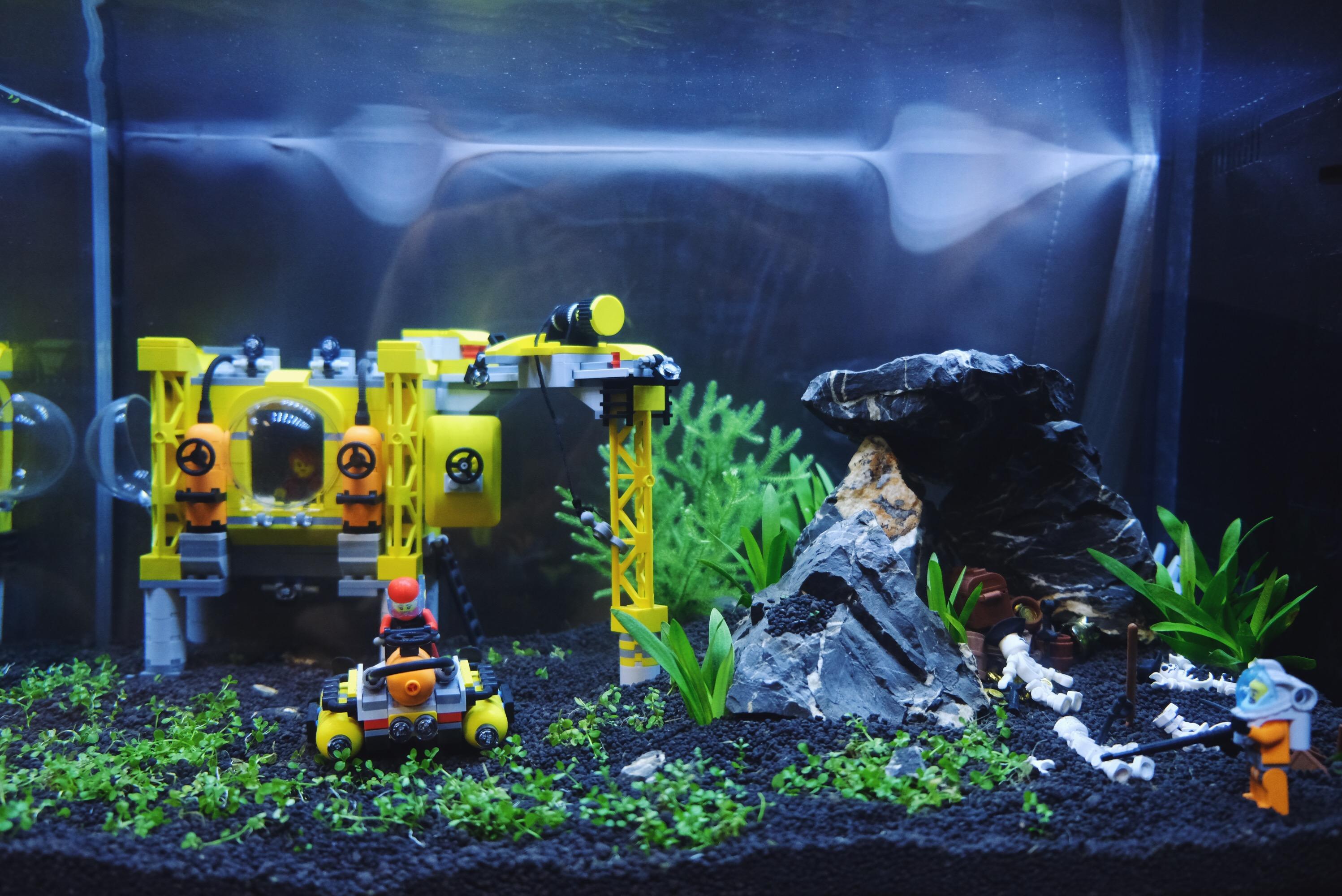 作为二十年老胶佬和一年鱼民我把另一种胶放进了鱼缸——乐高