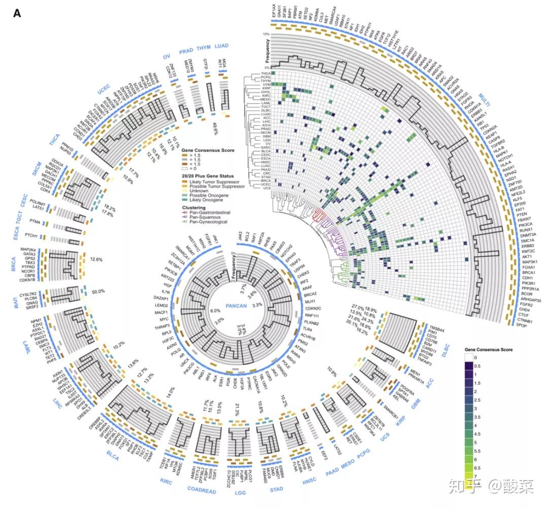 cell的tcga数据挖掘有什么不一样全面驱动基因突变景观拓展你的眼界内