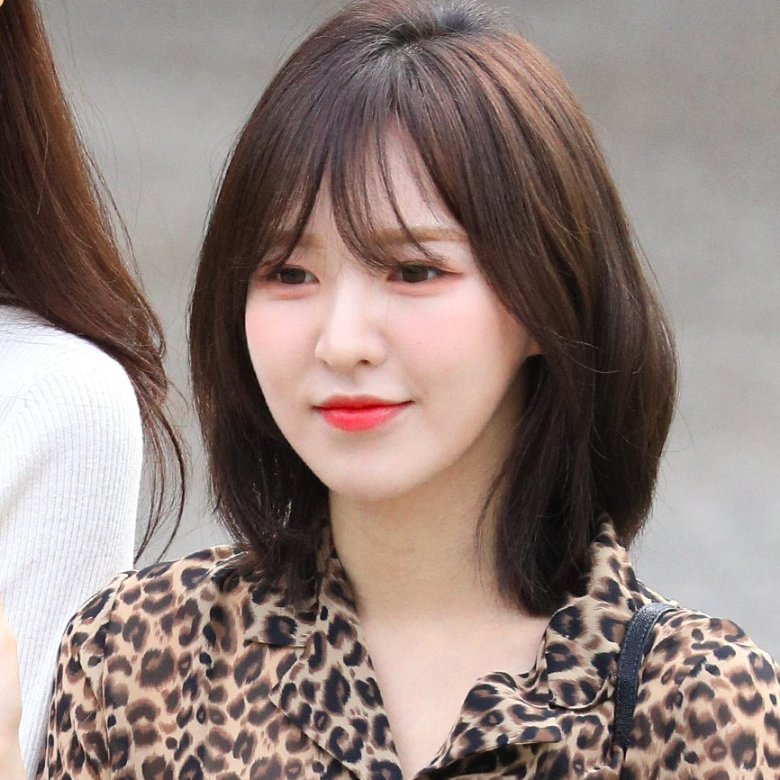 爱豆头像redvelvetwendy孙胜完合集