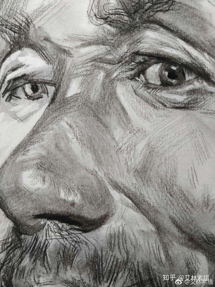 艾林素描头像示范步骤分享
