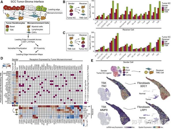 单细胞数据定制化分析——专业、前沿、高效 - 知乎