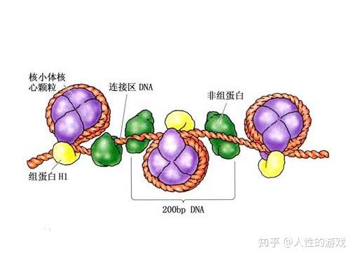 知乎专栏