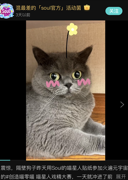 我在soul上云吸猫