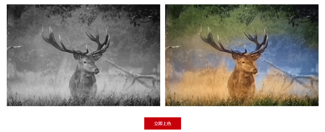 宝藏昇腾AI应用推荐!CANN带你体验黑白图像自动上色的快乐~ 宝藏昇腾AI应用推荐!CANN带你体验黑白图像自动上色的快乐~