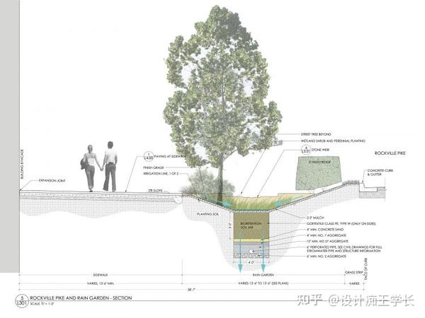 种植结构有哪几种