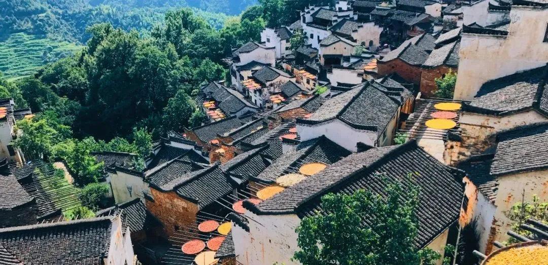乡村景观在于乡土环境和情境 - 知乎
