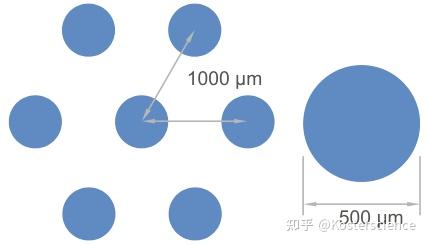 ibidi μ-Pattern 微区块表面 VI 0.4 六通道载玻片玩转指南（ibiTreat，cir500，pit1000，hex） - 知乎