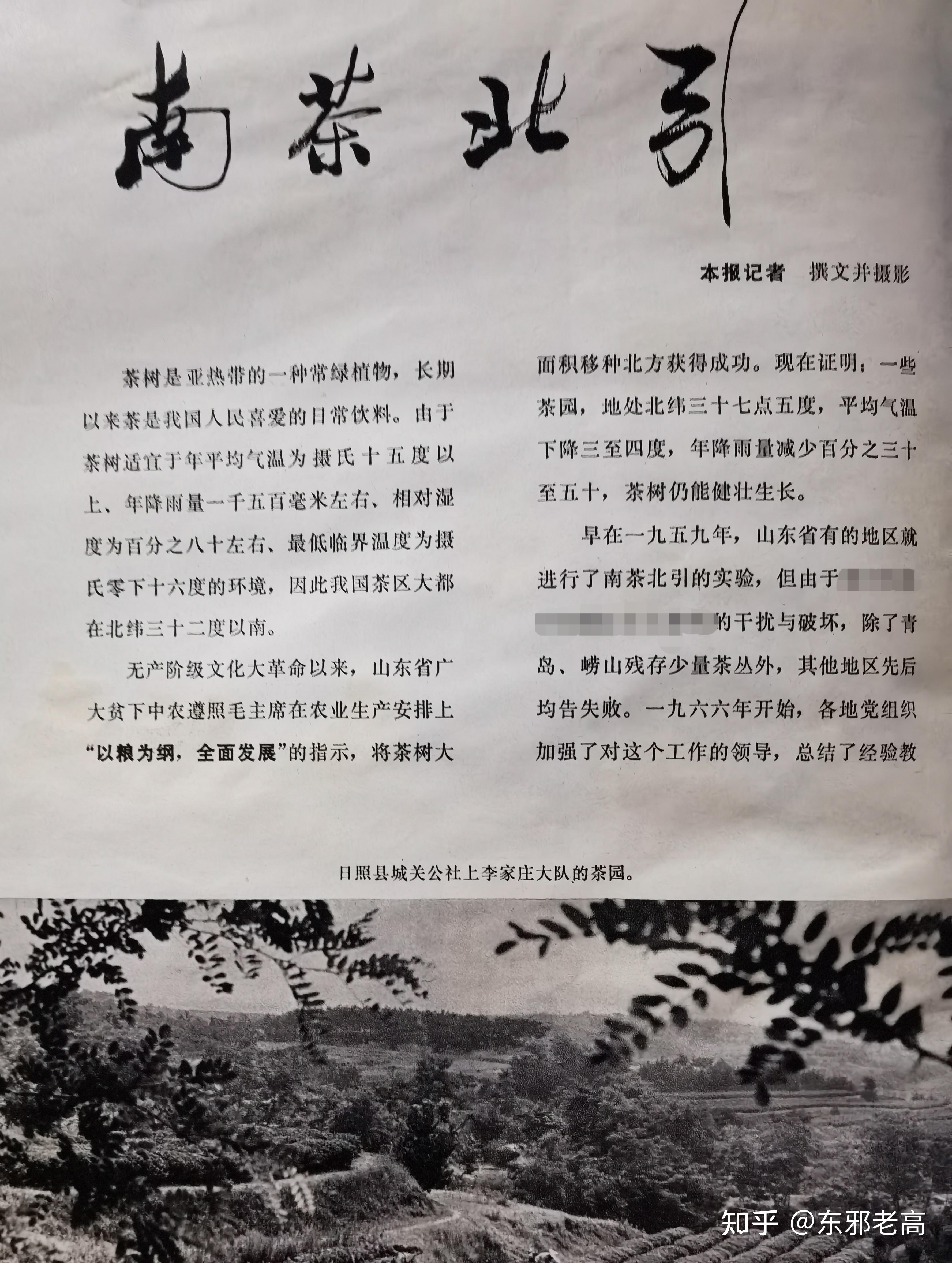 "南茶北引"缘起考