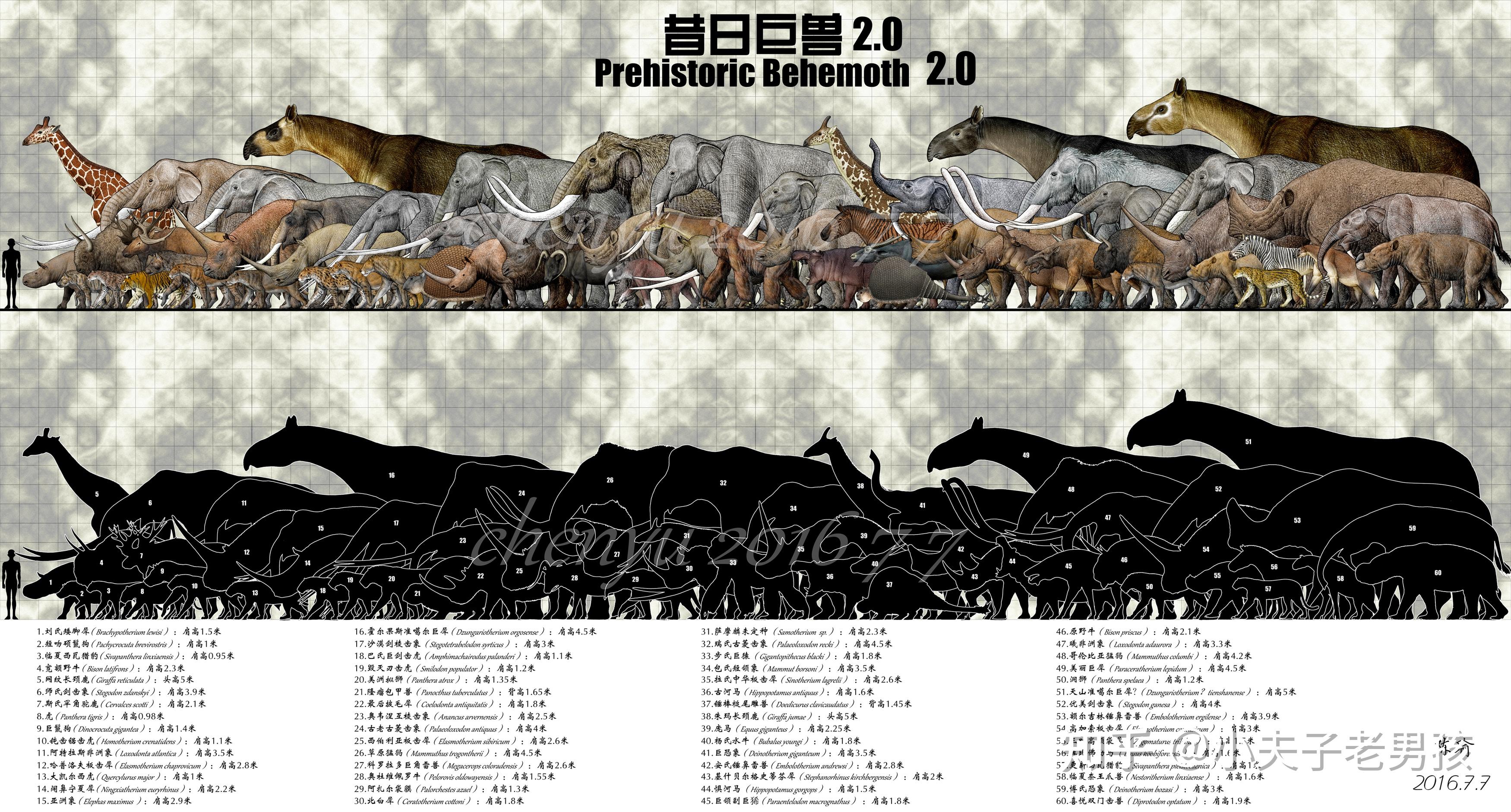 古生物学人物志宁静海的菊石君