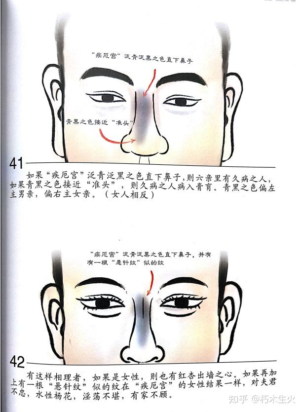 东山相法(东山面相)——第十三篇:十二宫 疾厄宫