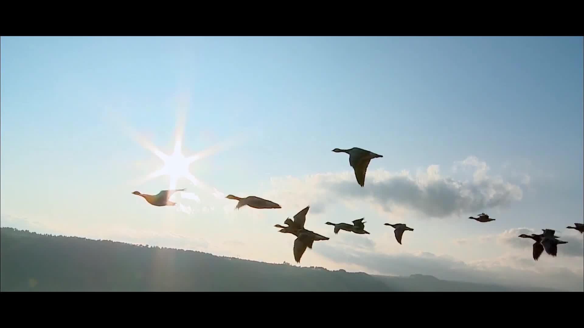 镜头光晕转场教程