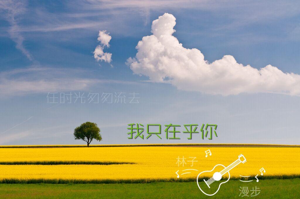 怎么变成一个阳光明媚自信的人 v2-e976c85bbda08a2973c294ba7476e572_1440w.jpg?source=172ae18b