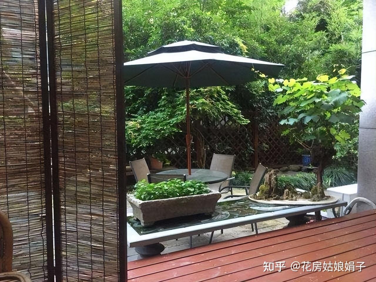 一楼带院子的房子，入住半年多，发现一些弊端，尤其是这4个方面- 知乎