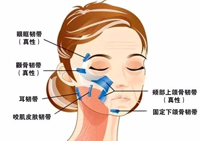 5mm的穿透深度