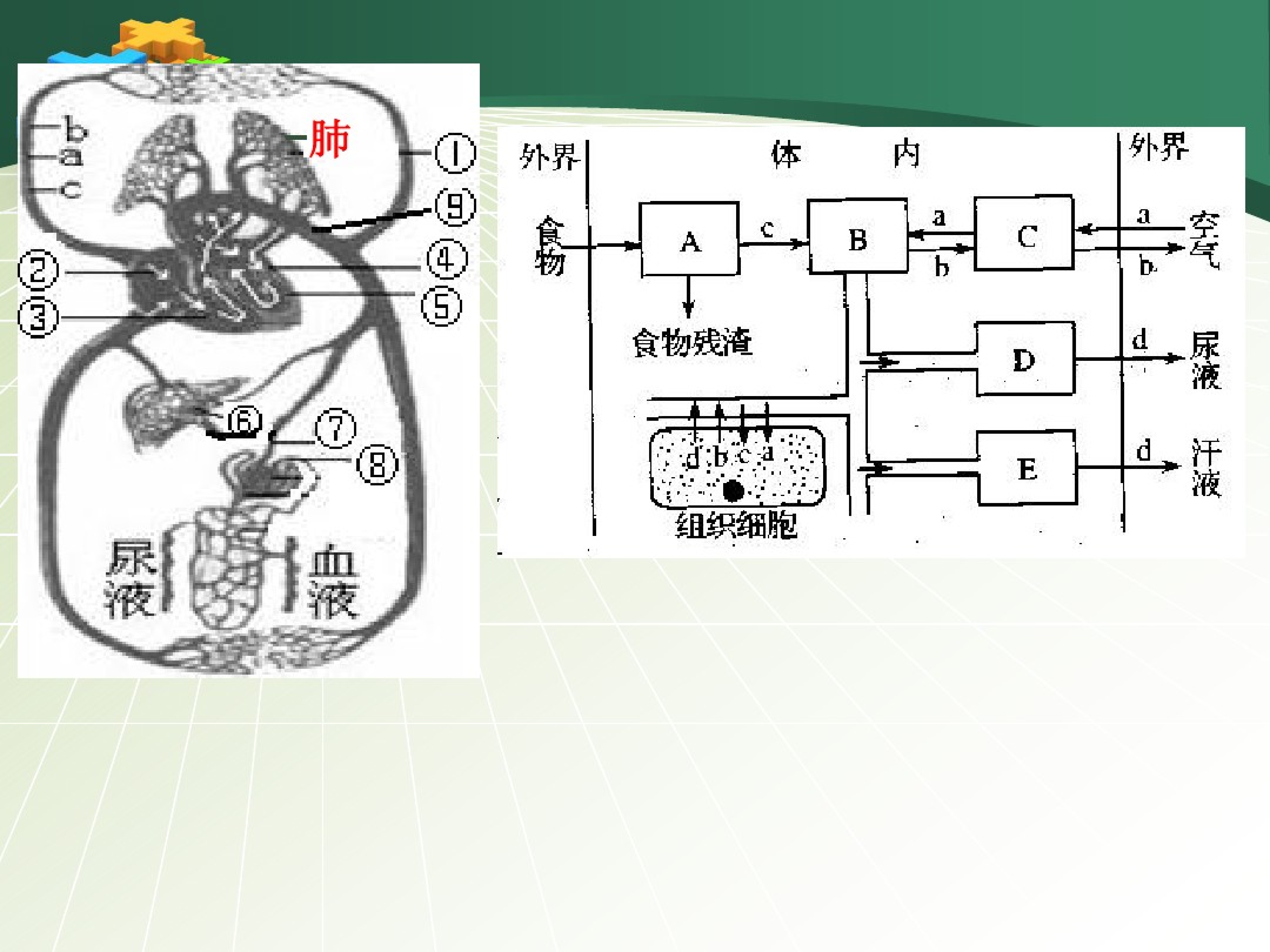 中考学科平衡指南（全科）(中考学科和学业考试学科一共是多少分)