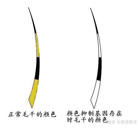 2. 银色系(silver)