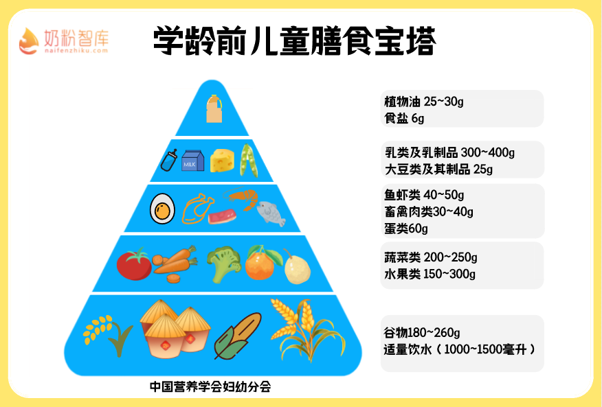 青少年平衡膳食宝塔图片