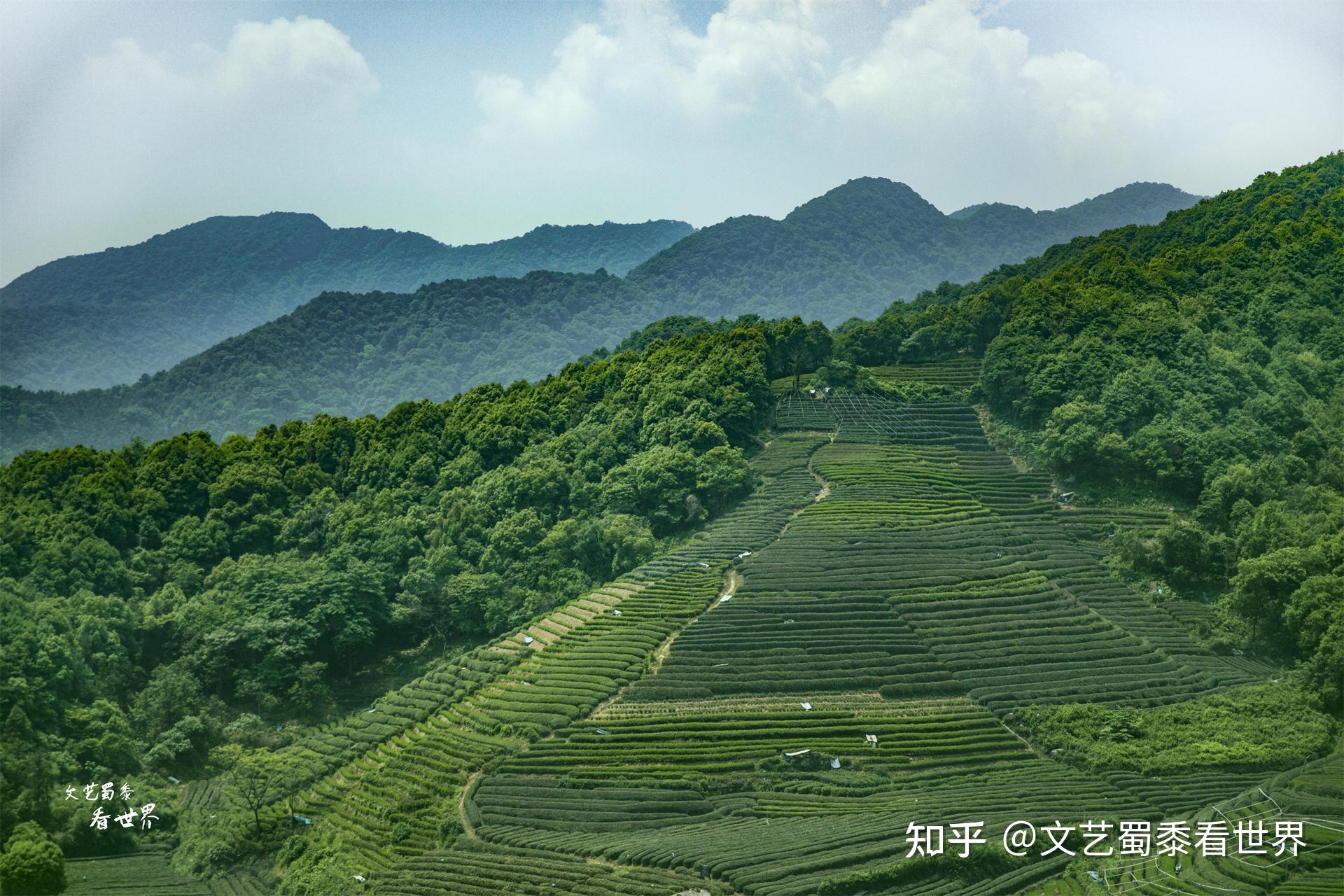 在金三角泰北地区,有一个神秘的地方,泰国籍居民说中文,吃中餐 - 知乎