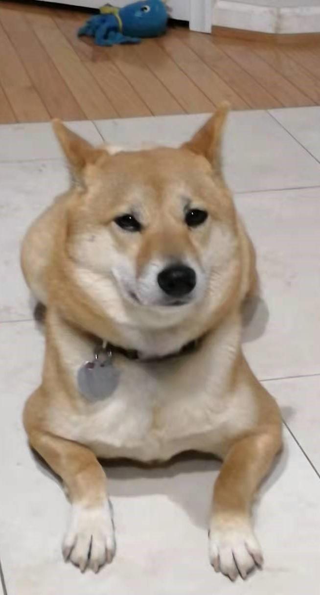 绿卡入门（13）：EB1A再来15问 || 转行，找独立推荐人，弱case心理建设，没有律所接我的case，咋办？ - 知乎