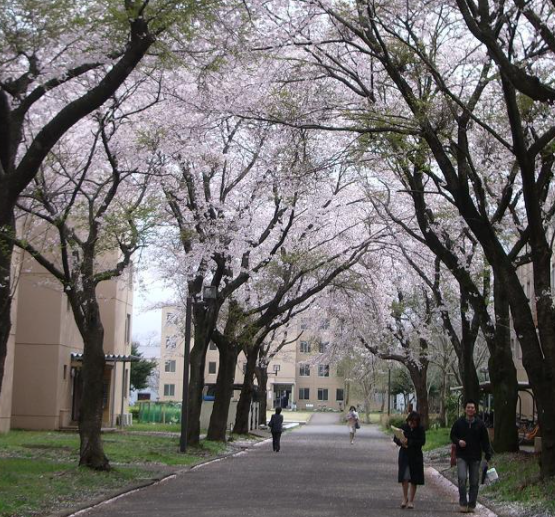 驻波大学图片