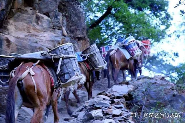 西藏芒康盐田游客熙熙攘攘这两处景区却鲜有人至