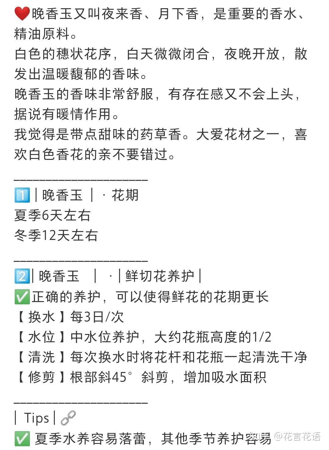 夜来香也叫晚香玉或夜香花,给大家介绍一下这一款原切花材的香香鲜花