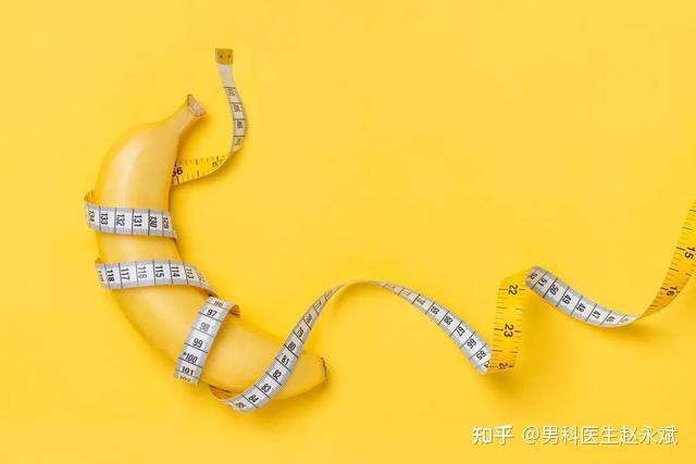 丁丁大小和身高,有关系吗? - 知乎