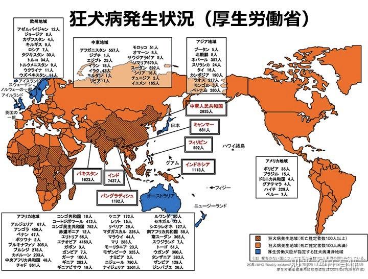 【疫情笔记】群体免疫与狂犬病 庄有猫 67 67 2020年度新知答主
