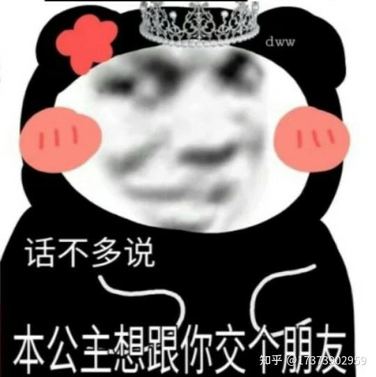 表情包大全||公主熊猫头表情包