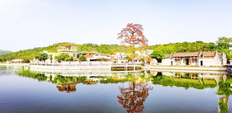 罗敏文化传媒走进中国古村落江门良溪村采风助力乡村振兴